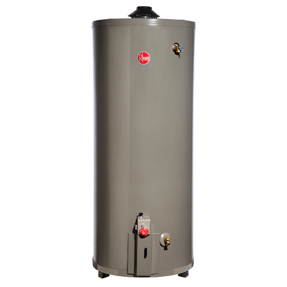 Termo A Gas Natural Rheem 114 lts.