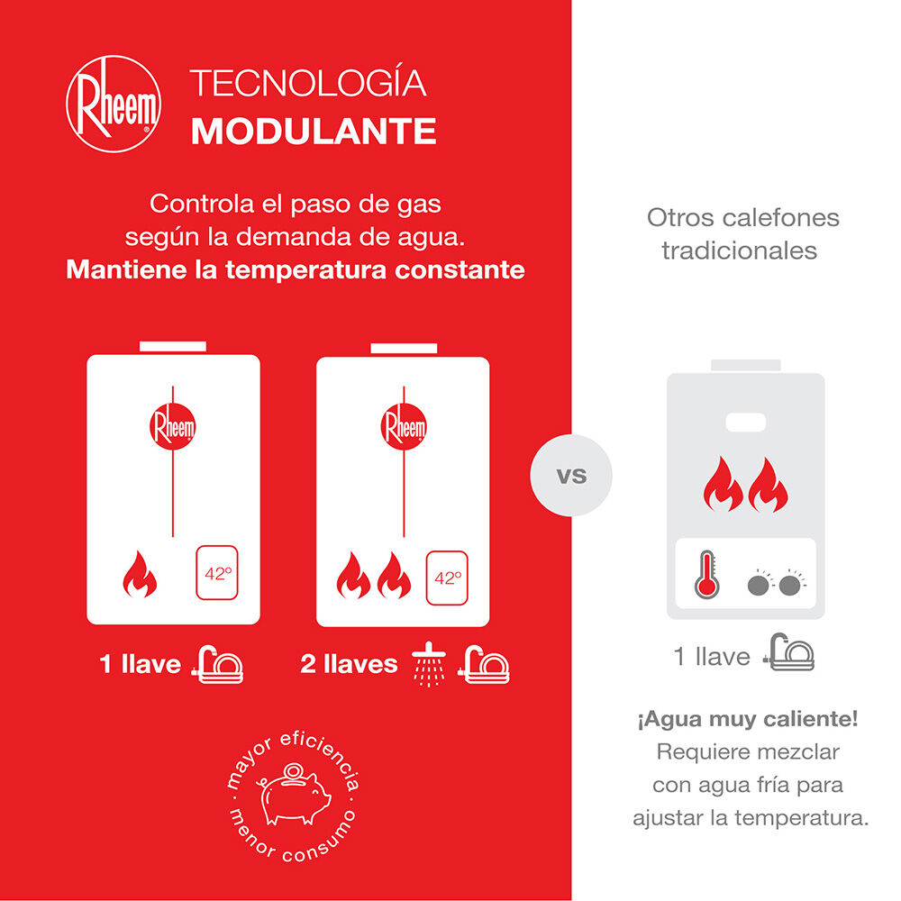 Calefont Gas Licuado Rheem Tiro Forzado Digital  18 lts.